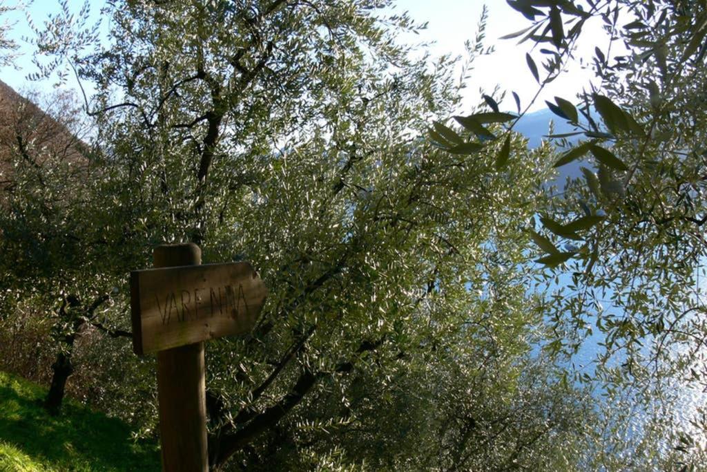 Luci Sul Lago - A Real Paradise Perledo Εξωτερικό φωτογραφία