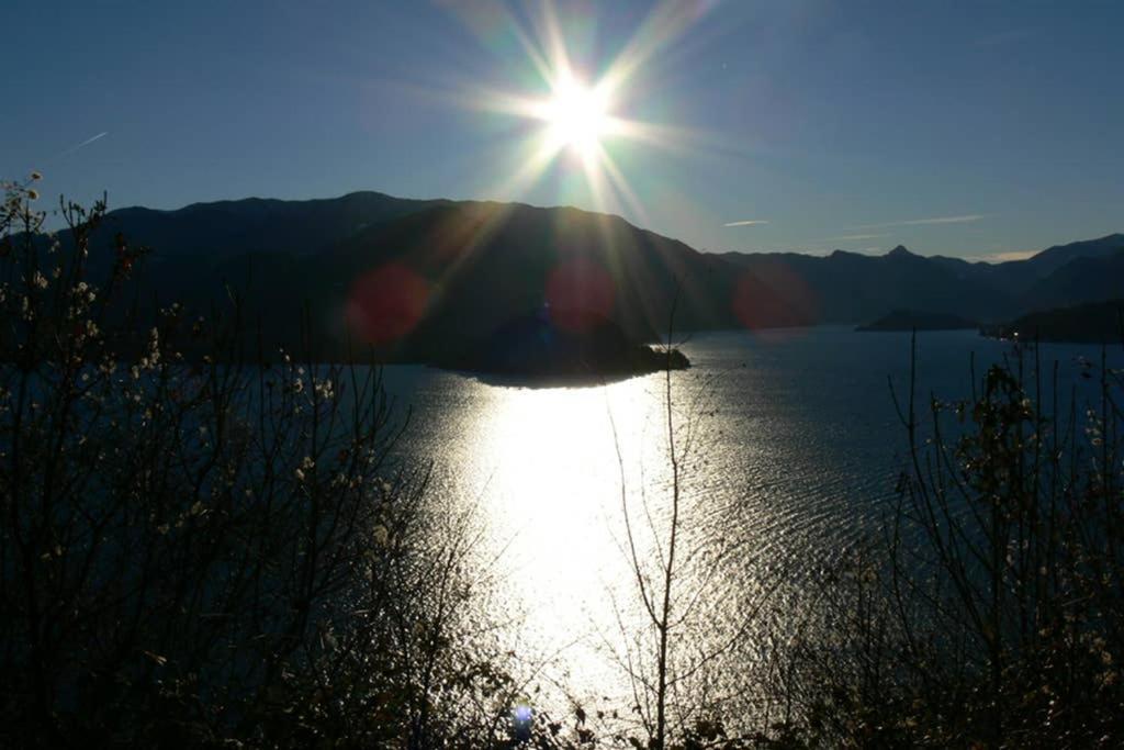 Luci Sul Lago - A Real Paradise Perledo Εξωτερικό φωτογραφία
